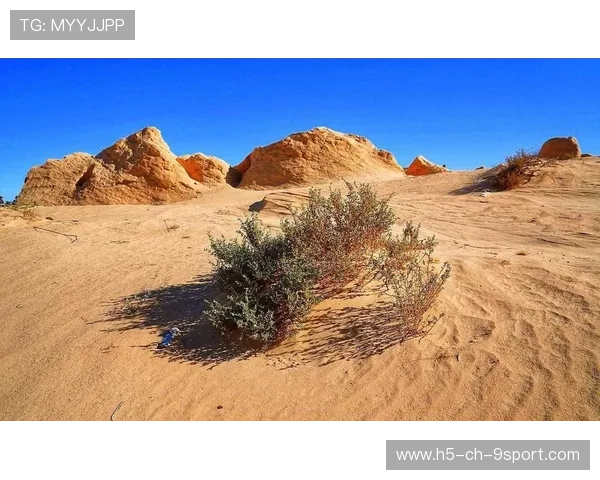 “荒野之战：沙丘与泥泞的极限追逐”，荒漠沙丘在哪